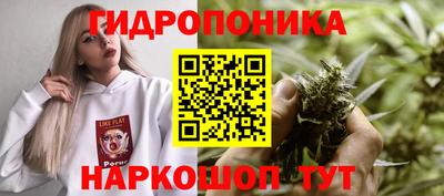 a pvp Севастополь