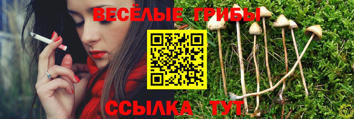 Галлюциногенные грибы Psilocybine cubensis  Вход с VPN  Ногинск  Псилоцибиновые грибы Psilocybe 
